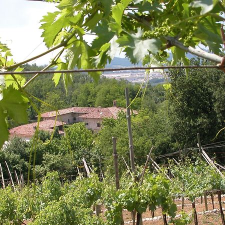 Agriturismo Ca' Verde Sant'Ambrogio di Valpolicella Bagian luar foto