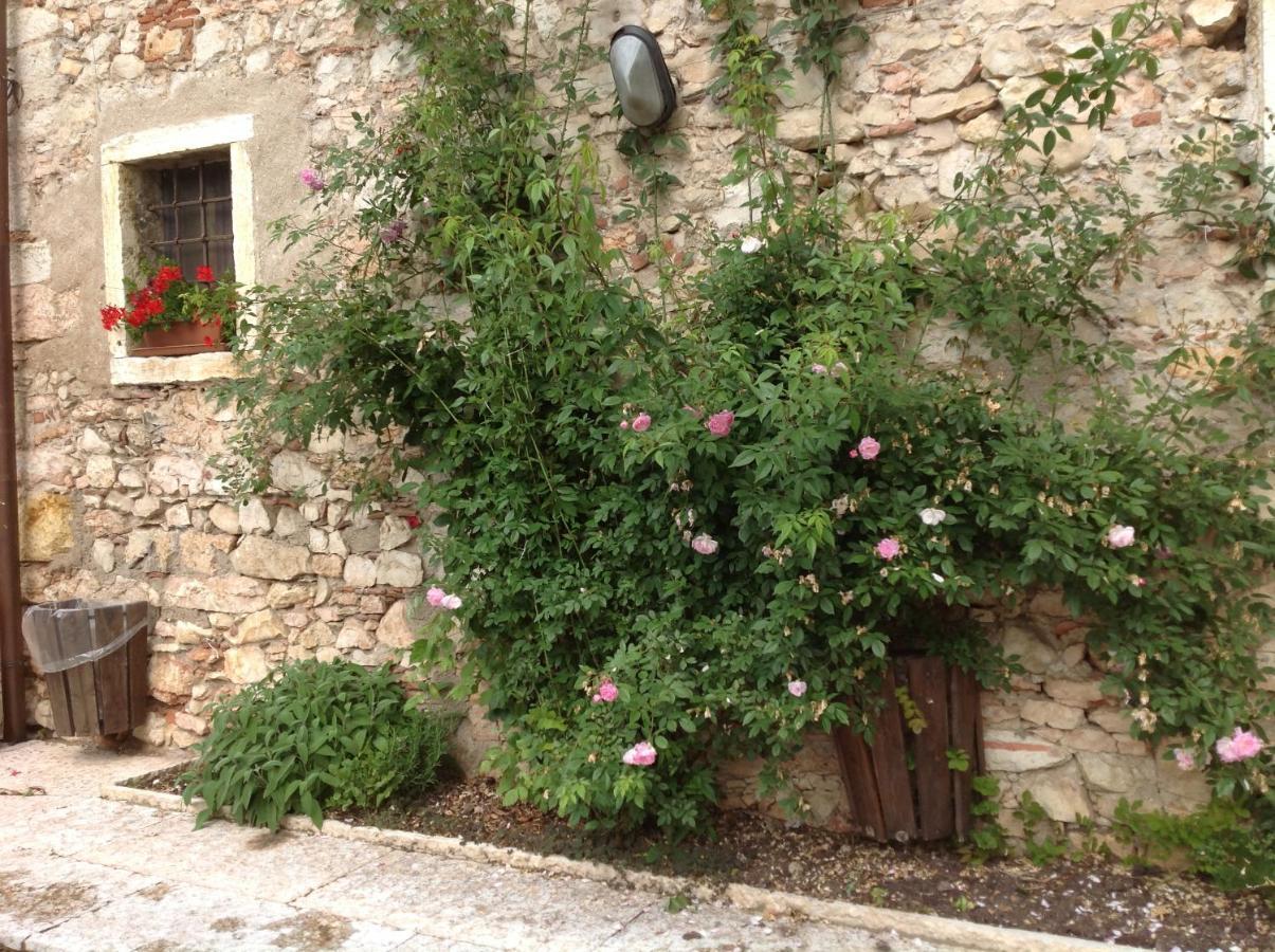 Agriturismo Ca' Verde Sant'Ambrogio di Valpolicella Bagian luar foto