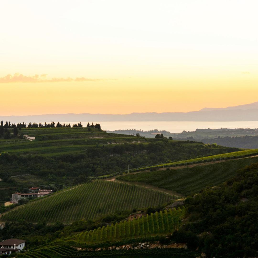 Agriturismo Ca' Verde Sant'Ambrogio di Valpolicella Bagian luar foto