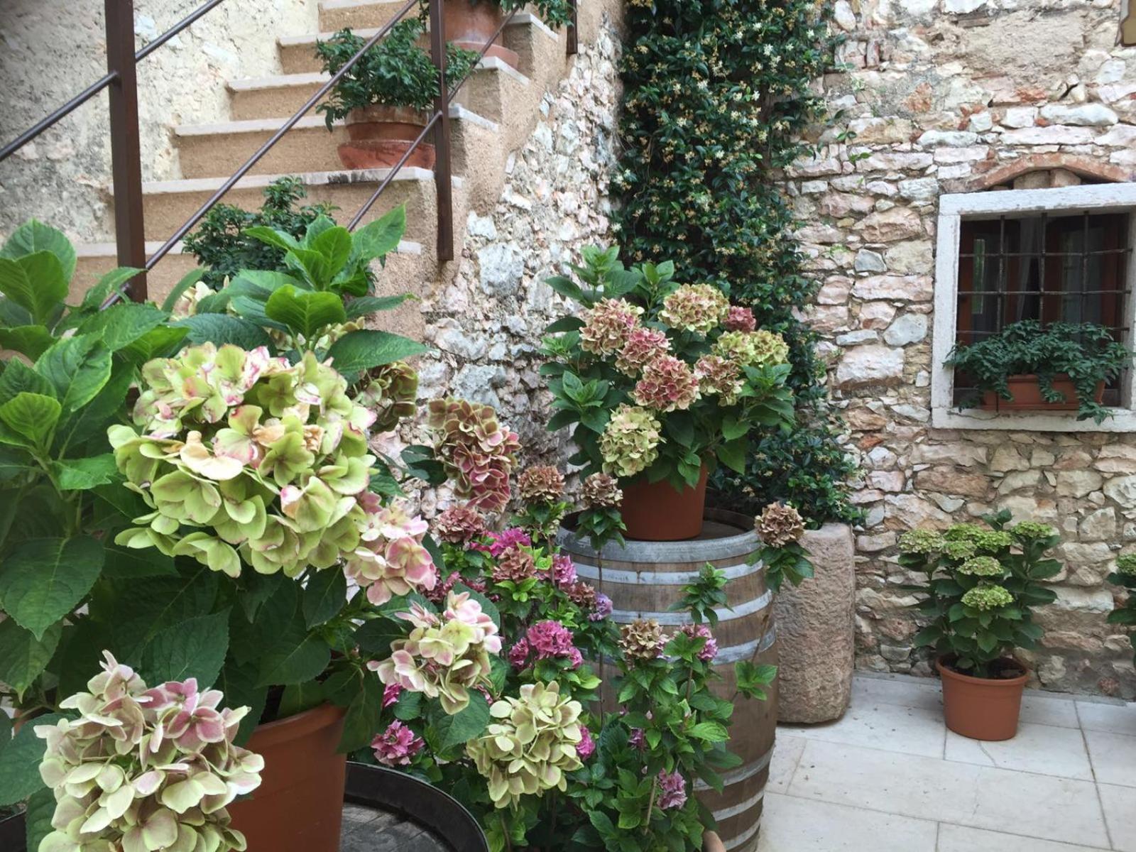 Agriturismo Ca' Verde Sant'Ambrogio di Valpolicella Bagian luar foto