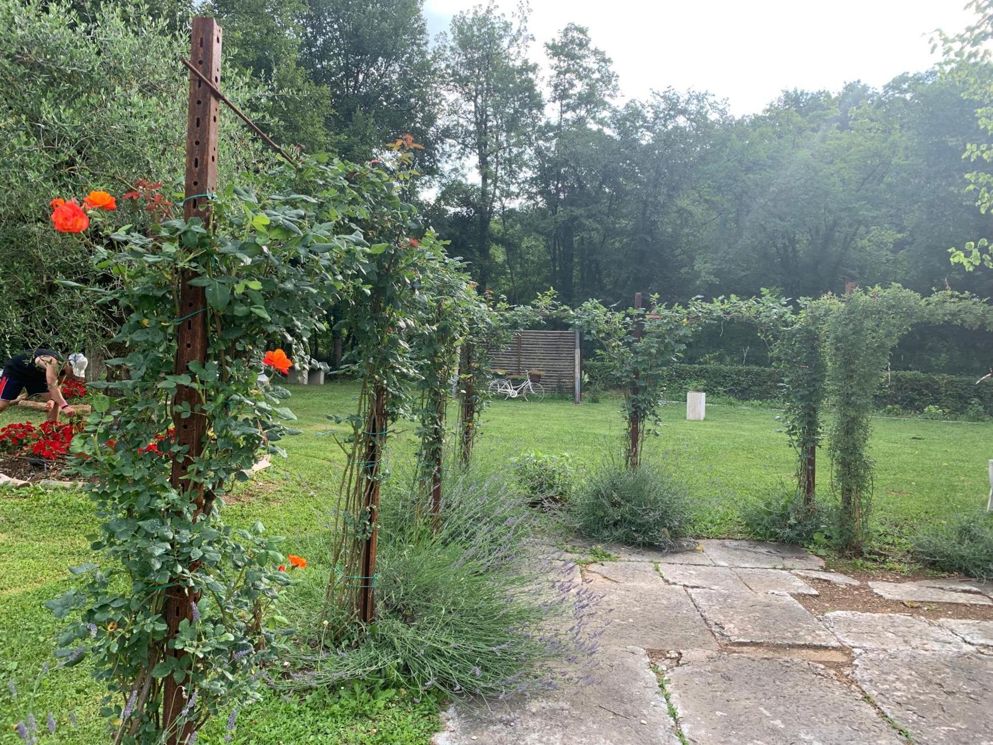 Agriturismo Ca' Verde Sant'Ambrogio di Valpolicella Bagian luar foto